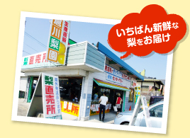 いちばん新鮮な梨をお届け